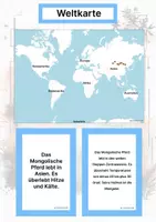 Vorschau - Arbeitsblätter - Das Mongolische Pferd – Steckbrief inklusive – Pferderassen Asiens – Montessori Lernkarten (Kontinente entdecken) - Seite 2