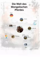 Vorschau - Arbeitsblätter - Das Mongolische Pferd – Steckbrief inklusive – Pferderassen Asiens – Montessori Lernkarten (Kontinente entdecken) - Seite 3