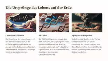 Vorschau - Fördermaterial/Inklusion - Präsentation: Evolution des Menschen – Eine faszinierende Reise als PDF und PowerPoint-Datei - Seite 2