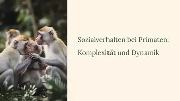 Vorschau - Fördermaterial/Inklusion - Präsentation: Sozialverhalten bei Primaten – Komplexität und Dynamik als PDF und PowerPoint-Datei - Seite 1