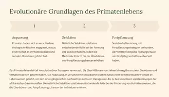 Vorschau - Fördermaterial/Inklusion - Präsentation: Sozialverhalten bei Primaten – Komplexität und Dynamik als PDF und PowerPoint-Datei - Seite 3