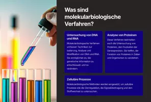 Vorschau - Fördermaterial/Inklusion - Präsentation: Fachliche Verfahren in der Molekularbiologie – als PDF und PowerPoint-Datei - Seite 3
