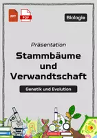 Vorschau - Fördermaterial/Inklusion - Präsentation: Stammbäume und Verwandtschaft – als PDF und PowerPoint-Datei - Deckblatt