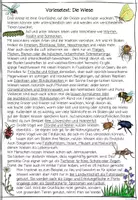 Vorschau - Arbeitsblätter - Wiese Hörweg Sachunterricht, Sachtext, Hörverstehen, Hörverständnis - Seite 2
