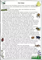 Vorschau - Spiele - Wiese Leseweg, Sachtext, Leseförderung Sachunterricht, Leseverständnis, Lesetraining, Lesekompetenz - Seite 2