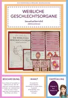 Vorschau - Mal- und Bastelvorlagen - Die weiblichen Geschlechtsorgane - Stationenlernen - Deckblatt