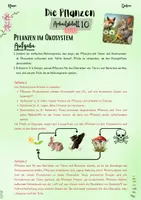 Vorschau - Unterrichtsreihen - Pflanzen | Botanik: Pflanzen im Ökosystem – Mehr als nur grün! (5. & 6. Klasse, Nawi und Biologie) - Seite 2