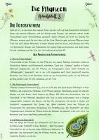 Vorschau - Unterrichtsreihen - Pflanzen | Botanik: Fotosynthese – Der Prozess, der das Leben ermöglicht (5. & 6. Klasse, Nawi und Biologie) - Seite 1