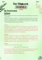 Vorschau - Unterrichtsreihen - Pflanzen | Botanik: Fotosynthese – Der Prozess, der das Leben ermöglicht (5. & 6. Klasse, Nawi und Biologie) - Seite 3