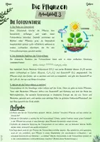Vorschau - Unterrichtsreihen - Pflanzen | Botanik: Fotosynthese – Der Prozess, der das Leben ermöglicht (5. & 6. Klasse, Nawi und Biologie) - Seite 2