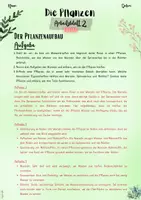 Vorschau - Unterrichtsreihen - Pflanzen | Botanik: Pflanzenaufbau – Wurzeln, Sprossachse und Laubblatt (5. & 6. Klasse, Nawi und Biologie) - Seite 3