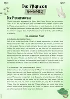 Vorschau - Unterrichtsreihen - XXL Materialpaket: Pflanzen | Botanik (5. & 6. Klasse, Nawi und Biologie) - 10 fertige Unterrichtsstunden mit Lösungen - Seite 2
