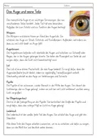 Vorschau - Arbeitsblätter - Materialpaket Lesetexte (differenziert) - Seite 2