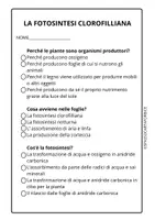 anteprima - Compiti in classe/Test - SCIENZE CLASSE QUARTA LA FOTOSINTESI VERIFICA A CROCETTE - Pagina 2