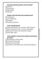 anteprima - Compiti in classe/Test - SCIENZE CLASSE QUARTA LA FOTOSINTESI VERIFICA A CROCETTE - Pagina 3