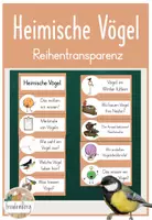 Vorschau - Unterrichtsreihen - Reihentransparenz Vögel - Deckblatt