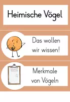 Vorschau - Unterrichtsreihen - Reihentransparenz Vögel - Seite 3