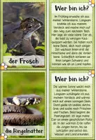 Vorschau - Spiele - Lese-Zuordnungsspiel: Heimische Tiere im Frühling - Seite 2