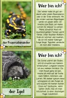 Vorschau - Spiele - Lese-Zuordnungsspiel: Heimische Tiere im Frühling - Seite 3