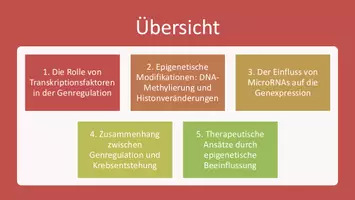 Vorschau - Präsentationen/Tafelbilder - Genregulation und Epigenetik | Zellalterung - Präsentation - Seite 1