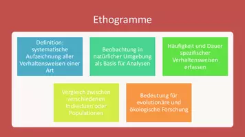 Vorschau - Präsentationen/Tafelbilder - Exogene und Endogene Faktoren der Verhaltensbiologie - Präsentation - Seite 1