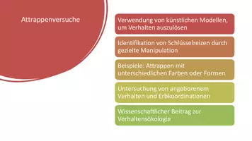 Vorschau - Präsentationen/Tafelbilder - Exogene und Endogene Faktoren der Verhaltensbiologie - Präsentation - Seite 2