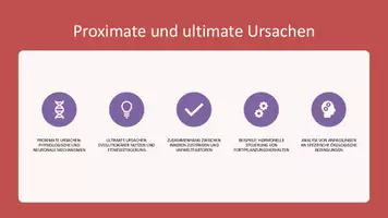 Vorschau - Präsentationen/Tafelbilder - Exogene und Endogene Faktoren der Verhaltensbiologie - Präsentation - Seite 3