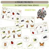 Vista previa - Juegos / Gamificación - LOS INSECTOS - VOCABULARIO: Ruleta y bingo. - Portada