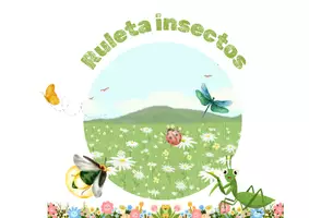 Vista previa - Juegos / Gamificación - LOS INSECTOS - VOCABULARIO: Ruleta y bingo. - página 1