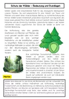 Vorschau - Arbeitsblätter - Schutz der Wälder: Erhalt, Aufforstung und nachhaltige Forstwirtschaft - Seite 1