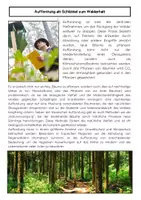 Vorschau - Arbeitsblätter - Schutz der Wälder: Erhalt, Aufforstung und nachhaltige Forstwirtschaft - Seite 2