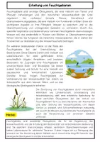 Vorschau - Arbeitsblätter - Erhaltung von Feuchtgebieten: Bedeutung für Biodiversität und Wasserhaushalt - Seite 1