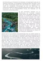 Vorschau - Arbeitsblätter - Flüsse Naturschutz: Wiederherstellung natürlicher Flusslandschaften - Seite 2