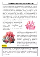 Vorschau - Arbeitsblätter - Korallenriffe Naturschutz: Bedrohungen, Maßnahmen und Lösungen - Seite 1
