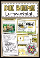 Vorschau - Arbeitsblätter - DIE BIENE - Materialpaket - Seite 1