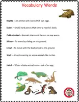 Vista previa - Hojas de trabajo - Science What are reptiles? | Fun Activities & Worksheets - página 1