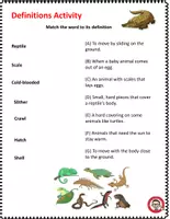 Vista previa - Hojas de trabajo - Science What are reptiles? | Fun Activities & Worksheets - página 2
