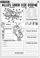 Vorschau - Arbeitsblätter - DIE BIENE - Alles über die Biene (Arbeitsblatt) - Seite 1