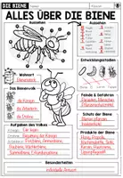 Vorschau - Arbeitsblätter - DIE BIENE - Alles über die Biene (Arbeitsblatt) - Seite 2