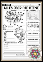 Vorschau - Arbeitsblätter - DIE BIENE - Alles über die Biene (Arbeitsblatt) - Deckblatt