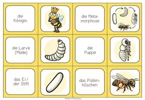 Vorschau - Spiele - Biene – Begriffe und Wortschatz spielerisch festigen | Paare-finden-Lernspiel 4.–5. Klasse - Seite 1