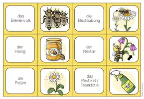 Vorschau - Spiele - Biene – Begriffe und Wortschatz spielerisch festigen | Paare-finden-Lernspiel 4.–5. Klasse - Seite 2