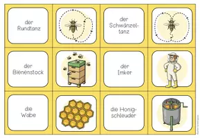 Vorschau - Spiele - Biene – Begriffe und Wortschatz spielerisch festigen | Paare-finden-Lernspiel 4.–5. Klasse - Seite 3