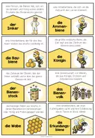 Vorschau - Spiele - Biene – Begriffe und Sachwissen zuordnen | Lernpuzzle 4.–5. Klasse - Seite 1