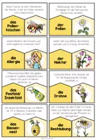 Vorschau - Spiele - Biene – Begriffe und Sachwissen zuordnen | Lernpuzzle 4.–5. Klasse - Seite 3