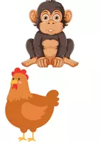 anteprima - Flashcard - chocolate mousse for greedy goose animali - Pagina 2