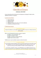 Aperçu - Apprentissages en autonomie - Cherche et Trouve - Animaux du froid - Page 1