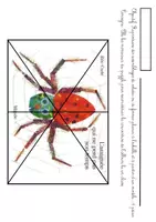 Aperçu - Fiches - L'araignée qui ne perd pas son temps - Puzzle couverture/ titre - Page de couverture