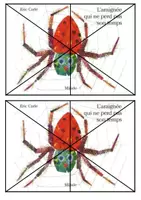 Aperçu - Fiches - L'araignée qui ne perd pas son temps - Puzzle couverture/ titre - Page 2