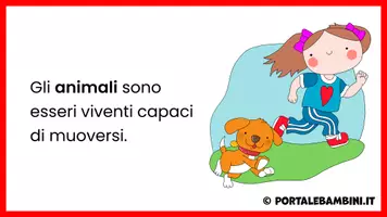 anteprima - Presentazioni / Lavagne - Gli animali e la loro classificazione - Pagina 2